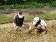 Thumbs/tn_P1010077.jpg