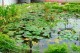 Thumbs/tn_004.jpg