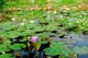 Thumbs/tn_008.jpg