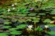 Thumbs/tn_009.jpg