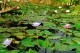 Thumbs/tn_011.jpg