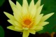 Thumbs/tn_Dsc_1922.jpg