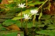 Thumbs/tn_Dsc_1925.jpg