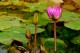 Thumbs/tn_Dsc_1927.jpg
