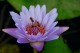 Thumbs/tn_Dsc_1930.jpg