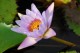 Thumbs/tn_Dsc_1937.jpg