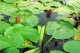 Thumbs/tn_Dsc_1940.jpg