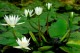 Thumbs/tn_Dsc_1941.jpg
