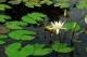 Thumbs/tn_Dsc_1946.jpg
