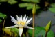 Thumbs/tn_Dsc_1947.jpg