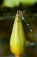 Thumbs/tn_Dsc_1948.jpg