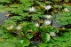 Thumbs/tn_Dsc_1949.jpg