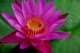 Thumbs/tn_Dsc_1956.jpg