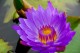 Thumbs/tn_Dsc_1958.jpg