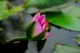 Thumbs/tn_Dsc_1964.jpg