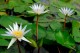 Thumbs/tn_Dsc_1965.jpg