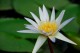 Thumbs/tn_Dsc_1966.jpg