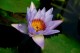 Thumbs/tn_Dsc_1973.jpg
