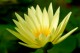 Thumbs/tn_Dsc_1976.jpg