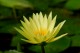 Thumbs/tn_Dsc_1996.jpg