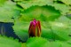 Thumbs/tn_Dsc_1998.jpg