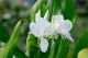 Thumbs/tn_Dsc_2016.jpg