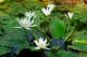 Thumbs/tn_Dsc_2027.jpg