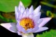 Thumbs/tn_Dsc_2063.jpg