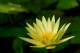 Thumbs/tn_Dsc_2068.jpg