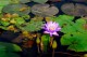 Thumbs/tn_Dsc_2072.jpg