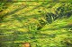 Thumbs/tn_Dsc_2118.jpg